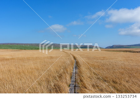 秋日里,雨龍沼的濕地和木棧道被秋葉染成了五彩斑斕的顏色(北海道) 秋日里,雨龍沼的濕地和木棧道被秋葉染成了五彩斑斕的顏色(北海道) 133253734