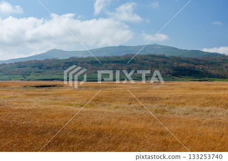 秋日里，雨龍沼的濕地和木棧道被秋葉染成了五彩斑斕的顏色（北海道） 133253740