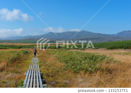 Autumn scenery of Uryu Numa marshland and boardwalks dyed in autumn leaves (Hokkaido) 133253751