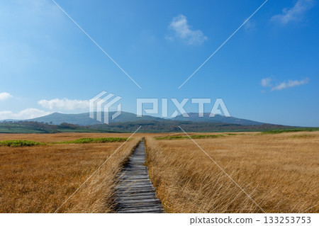 秋日里，雨龍沼的濕地和木棧道被秋葉染成了五彩斑斕的顏色（北海道） 133253753
