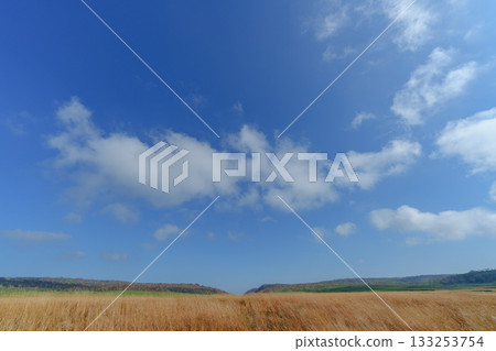 秋日里，雨龍沼的濕地和木棧道被秋葉染成了五彩斑斕的顏色（北海道） 133253754