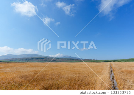 秋日里，雨龍沼的濕地和木棧道被秋葉染成了五彩斑斕的顏色（北海道） 133253755