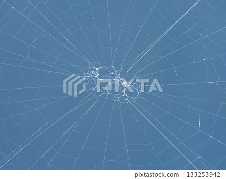 Spider web on the water surface 133253942