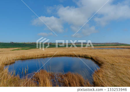 秋日里，雨龍濕地的樹葉和池塘構成了一幅美麗的景象（北海道） 133253946