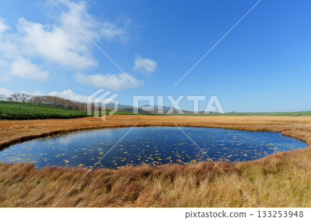 秋日里,雨龍濕地的樹葉和池塘構成了一幅美麗的景象(北海道) 秋日里,雨龍濕地的樹葉和池塘構成了一幅美麗的景象(北海道) 133253948