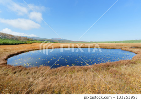 秋日里，雨龍濕地的樹葉和池塘構成了一幅美麗的景象（北海道） 133253953