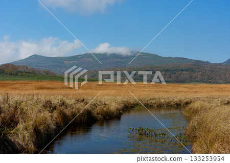 秋日里,雨龍濕地的樹葉和池塘構成了一幅美麗的景象(北海道) 秋日里,雨龍濕地的樹葉和池塘構成了一幅美麗的景象(北海道) 133253954