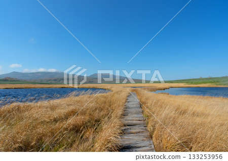 秋日里，雨龍濕地的樹葉和池塘構成了一幅美麗的景象（北海道） 133253956