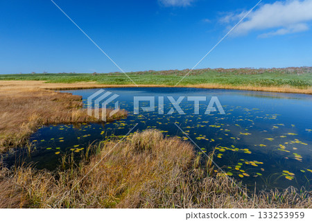 Autumn scenery of the Uryu Marsh with its foliage and ponds (Hokkaido) Autumn scenery of the Uryu Marsh with its foliage and ponds (Hokkaido) 133253959