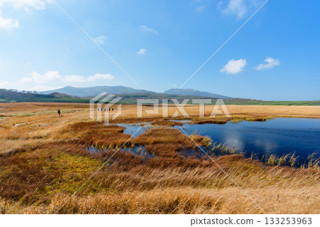 秋日里，雨龍濕地的樹葉和池塘構成了一幅美麗的景象（北海道） 133253963