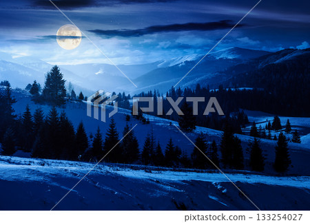spruce forest on snow covered hills at night. rolling winter landscape in mountains in full moon light. finance investment or abstract concepts 133254027