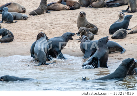 Walvis bay Namibia 133254039