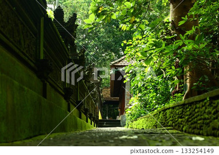 猴林 | 烏布，峇裡島，旅遊景點，自然風光，動物 133254149