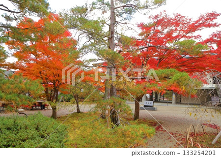 Motsuji Temple gardens enveloped in autumn leaves 133254201