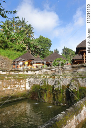 Goa Gajah, Bali, Indonesia 133254260