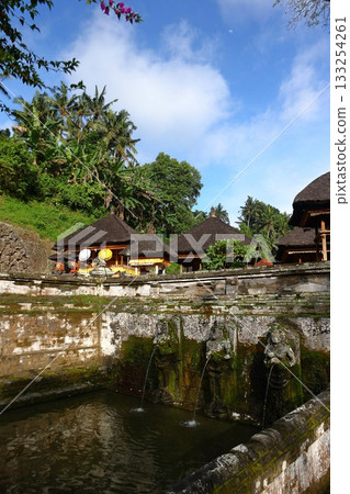 Goa Gajah, Bali, Indonesia 133254261