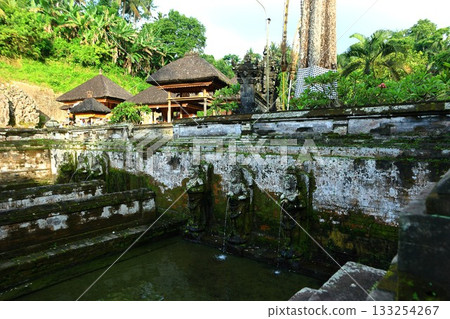 Goa Gajah, Bali, Indonesia Goa Gajah, Bali, Indonesia 133254267