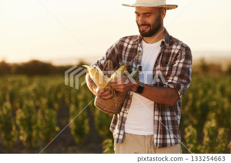 Food in hands, with corn. Farmer is on the agricultural field 133254663