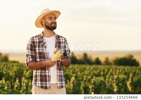 Food in hands, with corn. Farmer is on the agricultural field 133254666