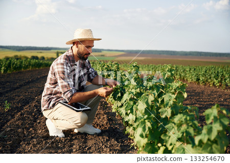 Sitting, checking the plant. Farmer is on the agricultural field 133254670