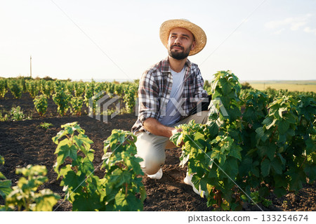 Sitting, checking the plant. Farmer is on the agricultural field 133254674