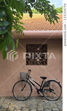 Bicycle parked against peach color wall with decorative window grille and green leaves hanging from above Bicycle parked against peach color wall with decorative window grille and green leaves hanging from above 133254759