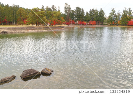 有秋天葉子的池塘 133254819