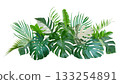 Bouquet of tropical green leaves botanical decorative arrangement nature backdrop isolated on white background 133254891