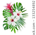Exotic White Hibiscus, Bromeliad, and Monstera Bouquet Tropical Floral Composition for Design 133254892