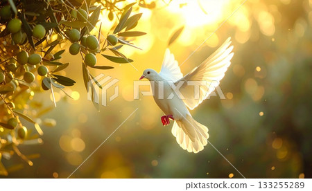 白鴿和橄欖在陽光下拍打著翅膀 2 白鴿和橄欖在陽光下拍打著翅膀 2 133255289