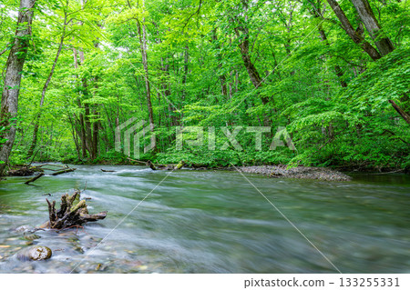 Towada City, Aomori Prefecture, Oirase Mountain Stream in summer (mountain stream image) Towada City, Aomori Prefecture, Oirase Mountain Stream in summer (mountain stream image) 133255331