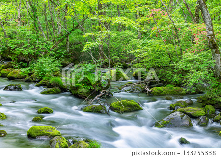 青森縣十和田市,夏季的奧入瀨溪流(溪流圖) 青森縣十和田市,夏季的奧入瀨溪流(溪流圖) 133255338
