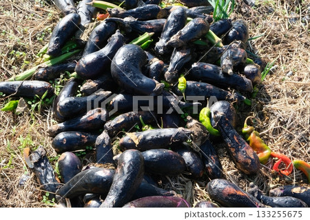 Discarded vegetables left in the fields 133255675