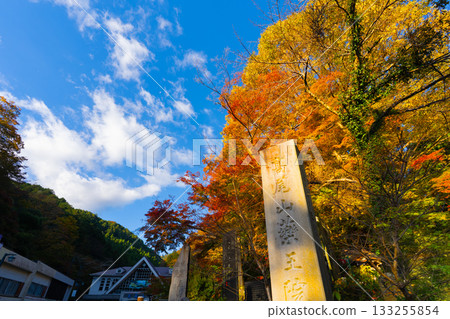 高尾山腳下清瀧車站附近的秋葉（東京都八王子市） 133255854