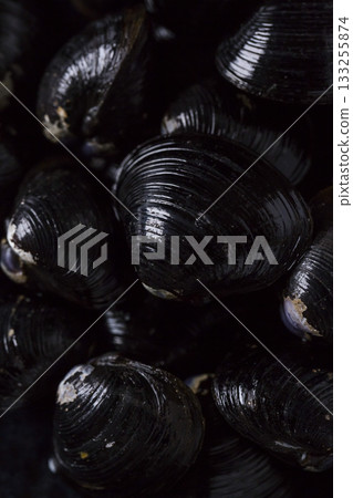 Large Yamato Shijimi clams on a plate against a black background 133255874