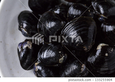 Large Yamato Shijimi clams on a plate against a black background Large Yamato Shijimi clams on a plate against a black background 133255904