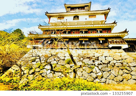 Iwakuni Castle tower in autumn when Japanese silverleaf flowers bloom 133255907