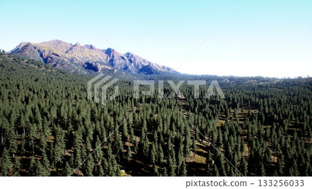 Towering mountains rise above a sprawling forest, where countless trees thrive under the bright sunlight. The scene captures the serenity of nature, inviting exploration and adventure. 133256033