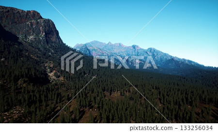 Majestic mountains rise above a vast expanse of green forests under a bright blue sky. The area is peaceful, showcasing the beauty of untouched nature and inviting exploration. 133256034