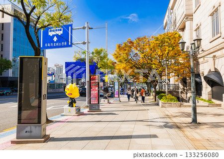 首爾江南韓流明星街(K-STAR ROAD) 首爾江南韓流明星街(K-STAR ROAD) 133256080