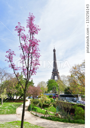 A Chinese Toon with red leaves and the Eiffel Tower (photographed in Paris on April 11, 2022) A Chinese Toon with red leaves and the Eiffel Tower (photographed in Paris on April 11, 2022) 133256143