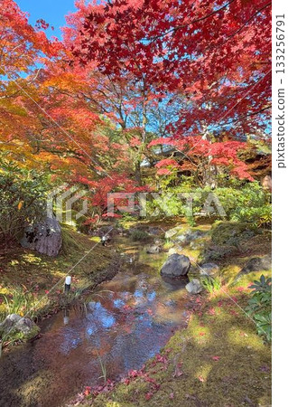 京都著名的賞楓勝地:天龍寺法閣 京都著名的賞楓勝地:天龍寺法閣 133256791