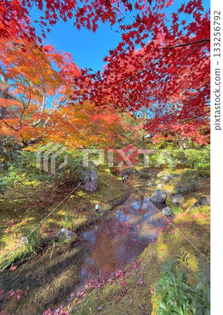 京都著名的賞楓勝地:天龍寺法閣 京都著名的賞楓勝地:天龍寺法閣 133256792