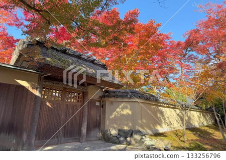 Kyoto's famous autumn foliage spot: Tenryuji Temple Hogonin Kyoto's famous autumn foliage spot: Tenryuji Temple Hogonin 133256796