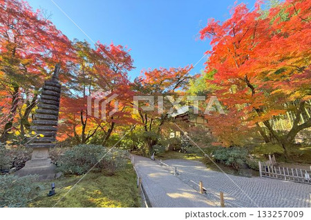 Kyoto's famous autumn foliage spot: Tenryuji Temple Hogonin 133257009