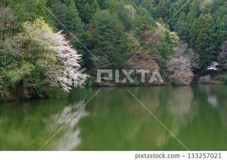 Lake Kamokita in spring Lake Kamokita in spring 133257021