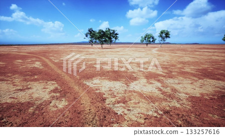 Bright blue sky stretches over a vast, dry landscape marked by cracked earth. Two sparse trees stand alone, highlighting the parched terrain. A winding path cuts across the land. 133257616