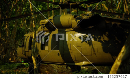 A camouflaged military helicopter sits quietly in a dense jungle, surrounded by tall trees and vibrant green foliage. A soldier stands nearby, observing the environment. 133257617