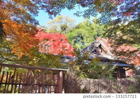 Kyoto's famous autumn foliage spot: Tenryuji Temple Hogonin Kyoto's famous autumn foliage spot: Tenryuji Temple Hogonin 133257721