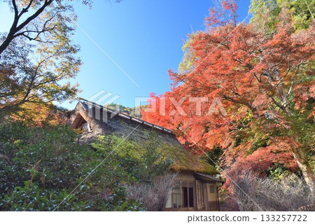 Kyoto's famous autumn foliage spot: Tenryuji Temple Hogonin Kyoto's famous autumn foliage spot: Tenryuji Temple Hogonin 133257722
